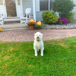 Meet your Posher, Nadine